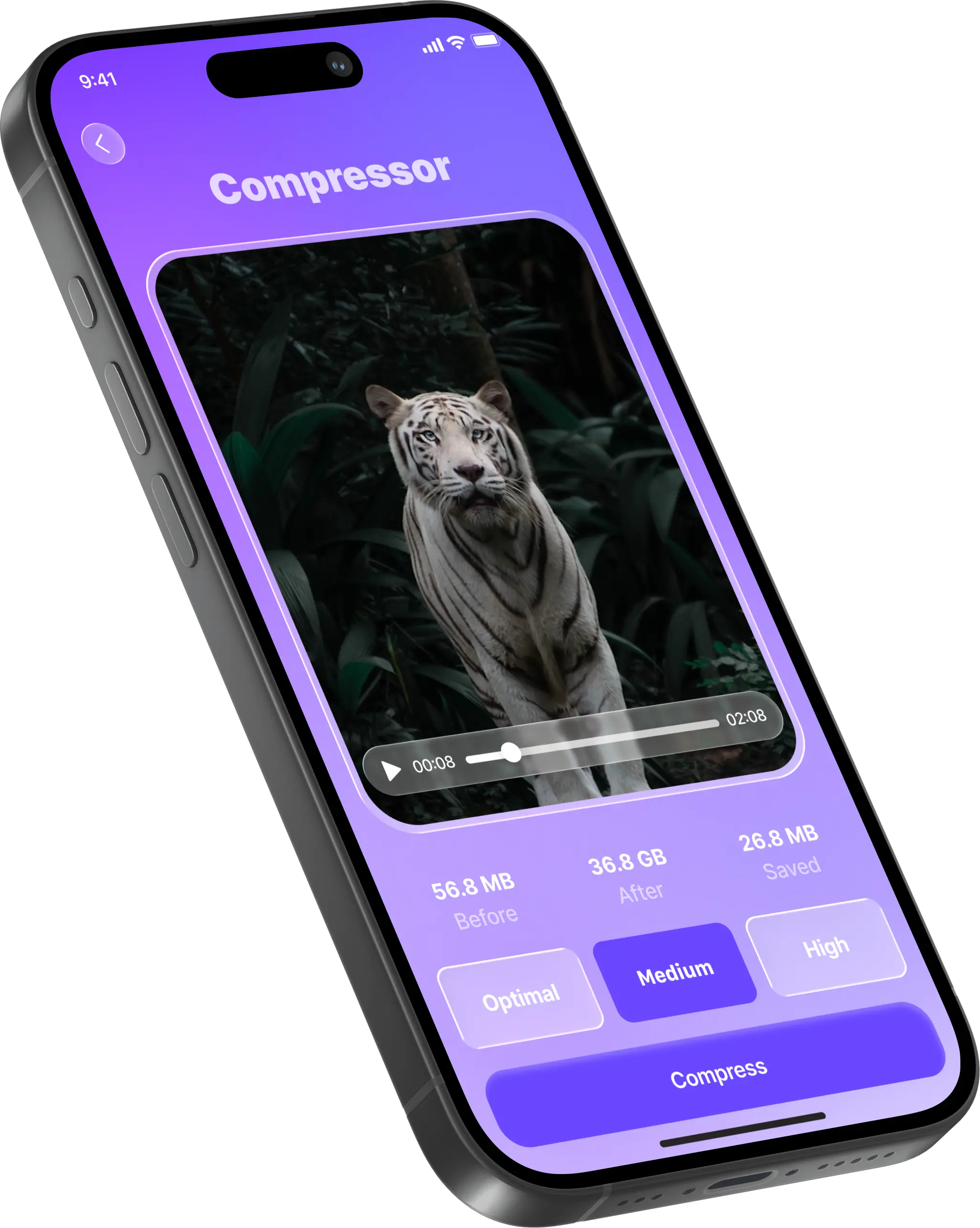 Video compressor screen